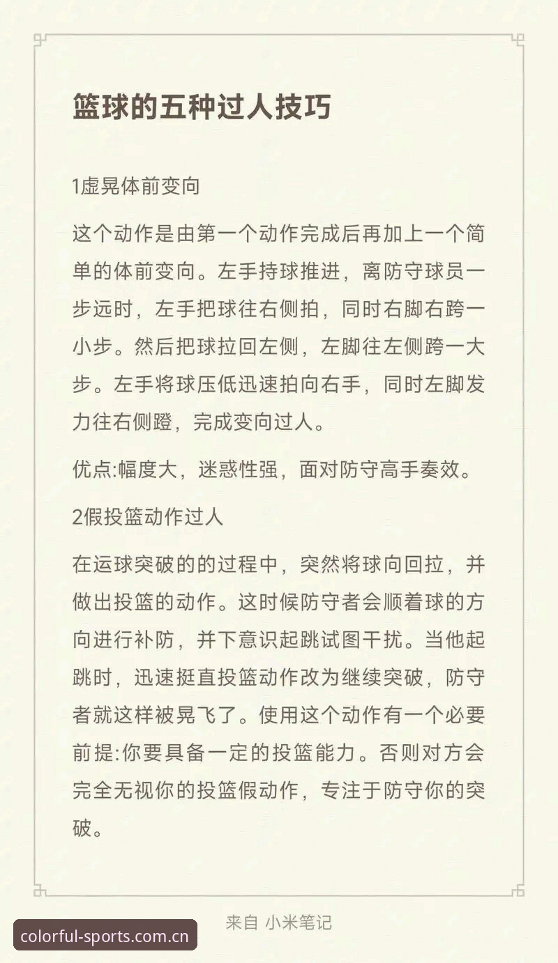 杏彩体育平台深度评测：从新手到高手的完整使用教程与实战技巧解析